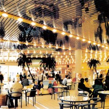 APEZ Strip Ceiling System